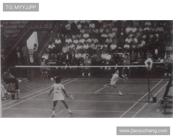 南京羽毛球队中路突破的成功与不足分析及未来发展方向探讨